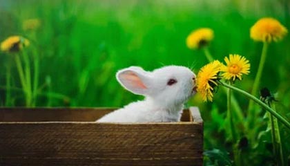 开云-【排名变化】最新世界排名运动员榜单公布，世界运动员排名怎么排