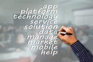 开云娱乐-NBA球队市场营销策略与品牌建设，nba的营销策略