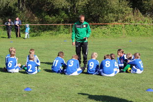 kaiyun网页版-中国篮球教练员团队协作能力培养与管理实践，篮球教练员在团队中扮演了哪些角色